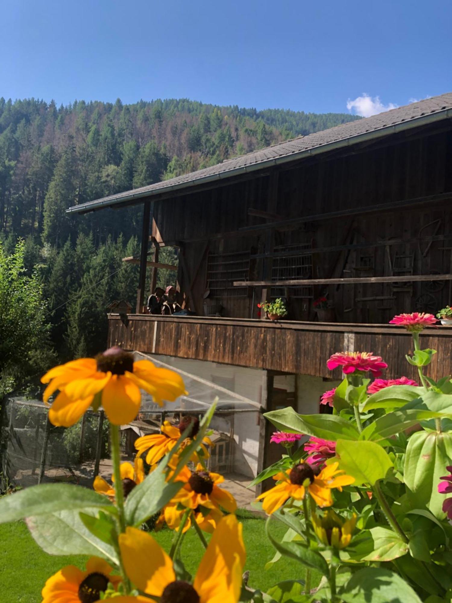 Thalerhof Apartman San Lorenzo di Sebato Kültér fotó