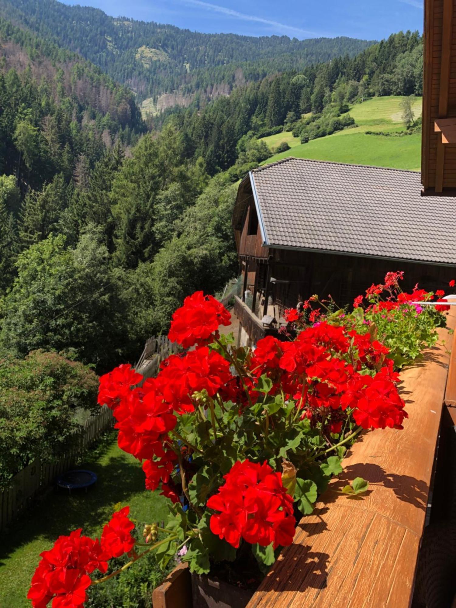 Thalerhof Apartman San Lorenzo di Sebato Kültér fotó