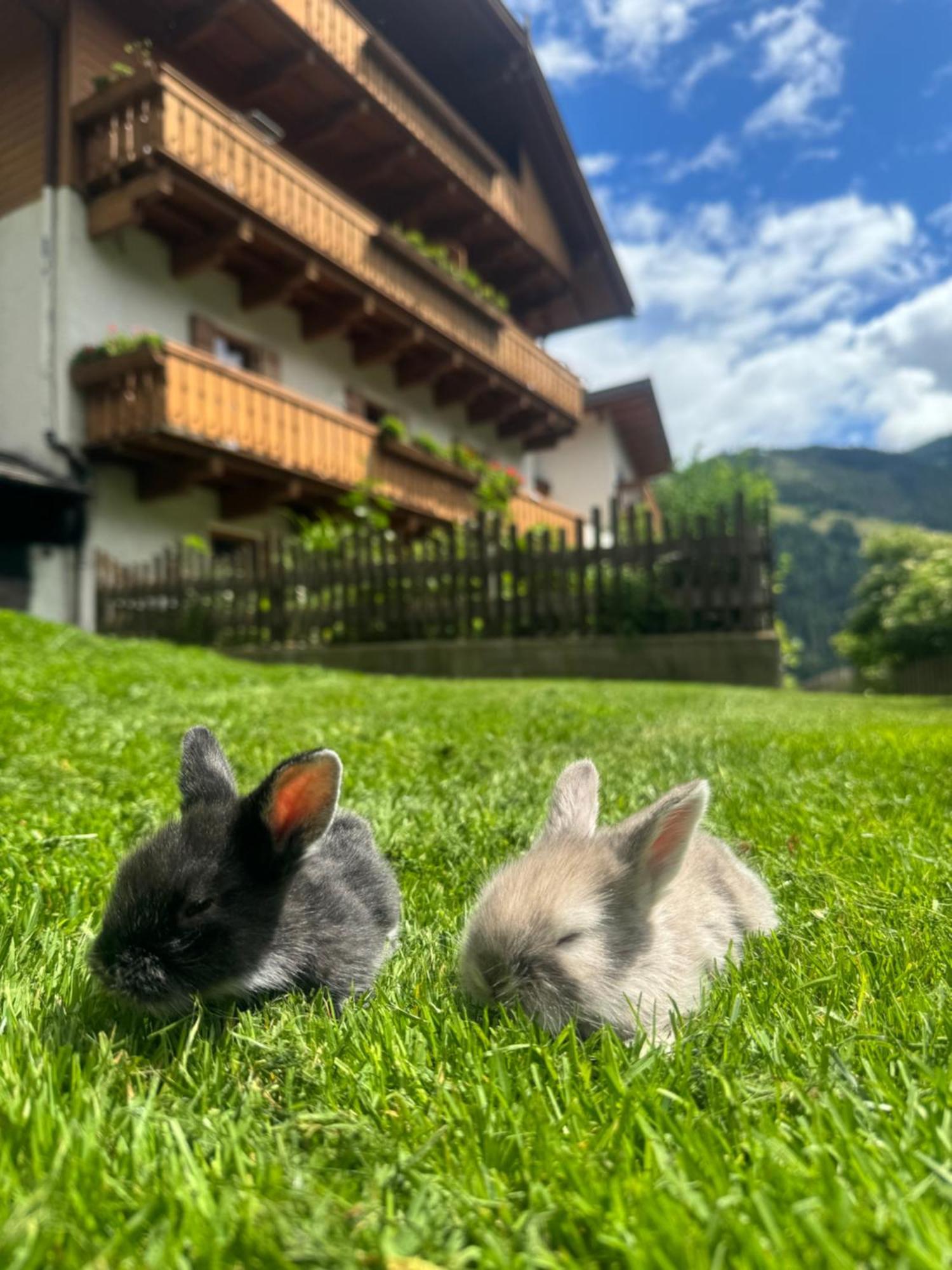 Thalerhof Apartman San Lorenzo di Sebato Kültér fotó