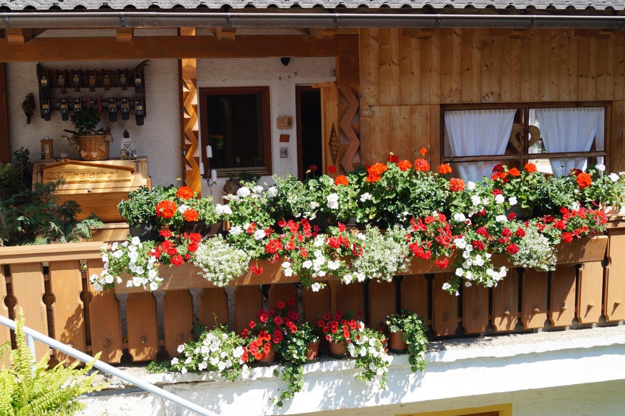 Thalerhof Apartman San Lorenzo di Sebato Kültér fotó